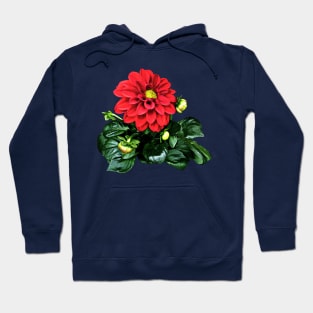 Red Dahlia Dahlinova Hoodie